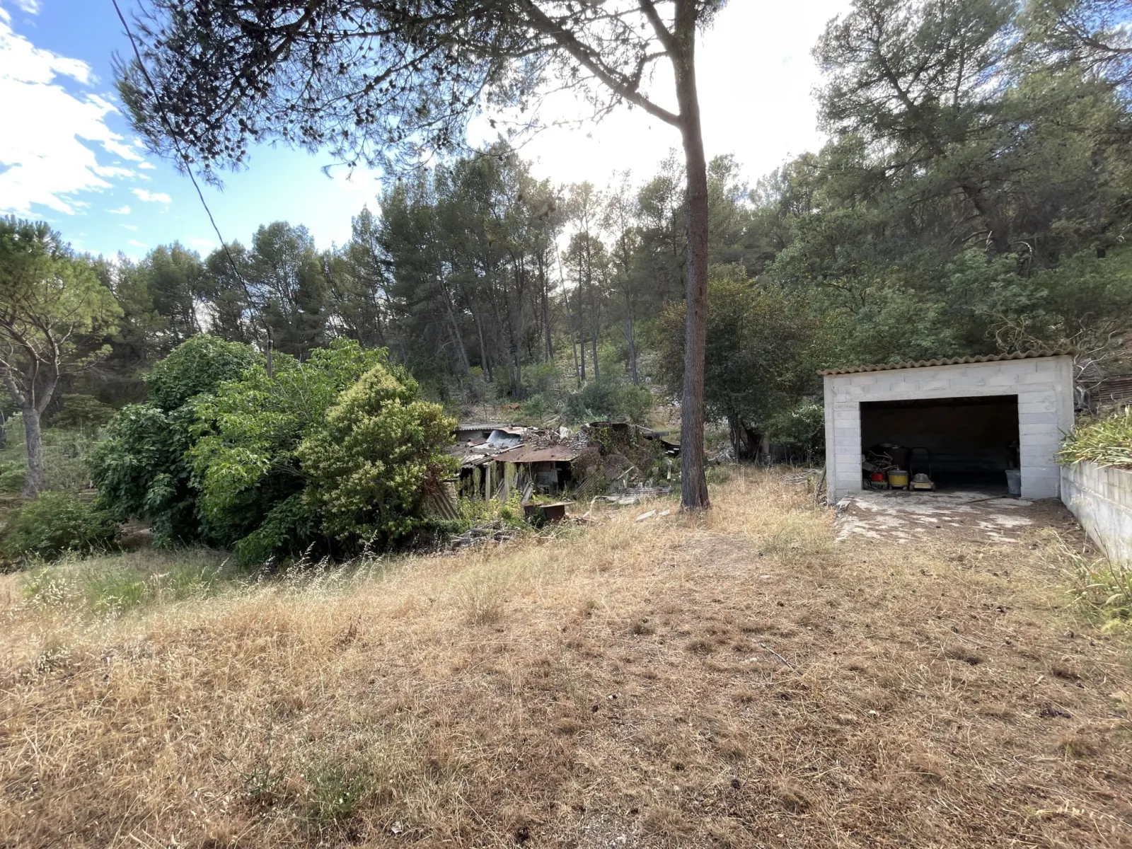 Roquefort-la-Bédoule · Terrain à bâtir 4 500 m² en colline · photo 4