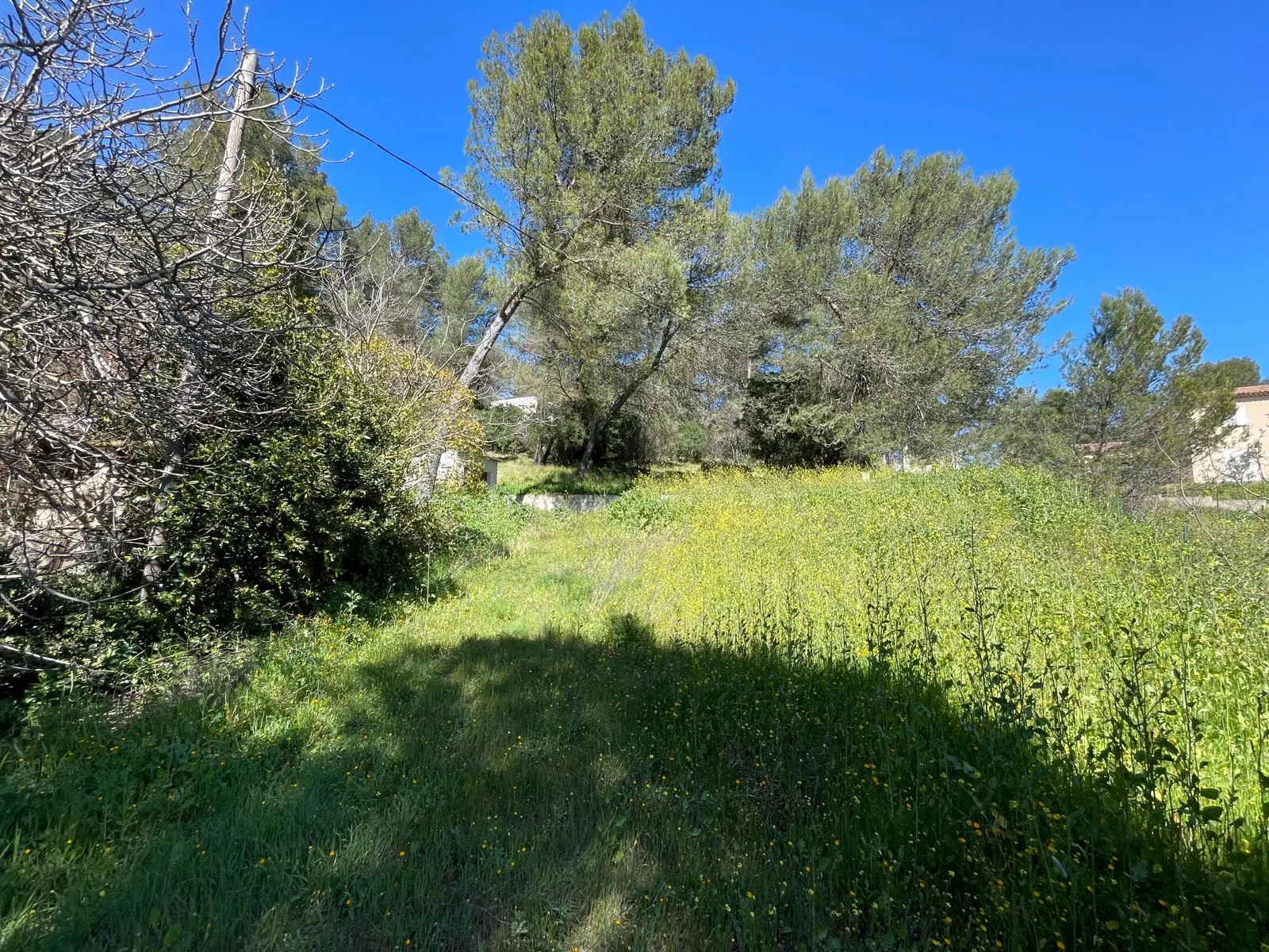 Roquefort-la-Bédoule · Terrain à bâtir 4 500 m² en colline · photo 5