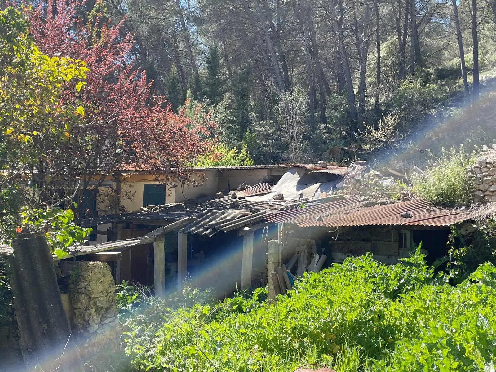 Roquefort-la-Bédoule · Terrain à bâtir 4 500 m² en colline · photo 7