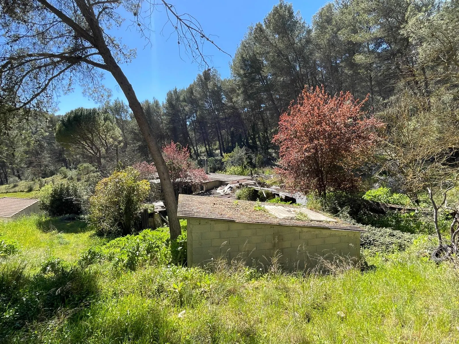 Roquefort-la-Bédoule · Maison 80 m² sur 4 500 m² de campagne · photo 3