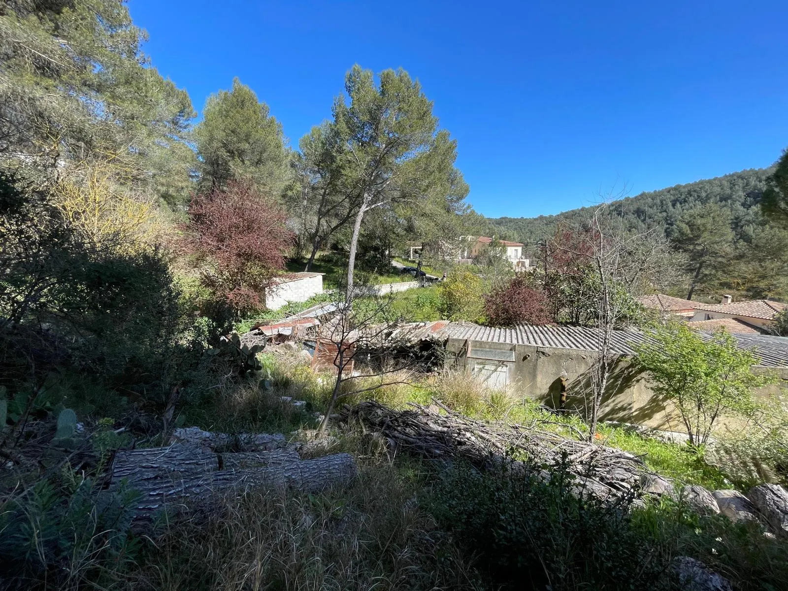 Roquefort-la-Bédoule · Maison 80 m² sur 4 500 m² de campagne · photo 7